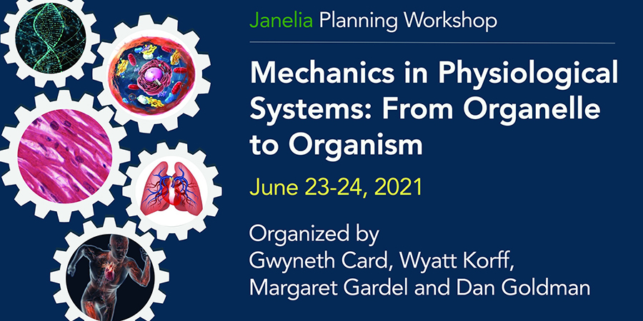 Mechanics in Physiological Systems: From Organelle to Organism 