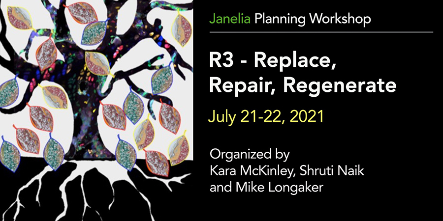 R3 — Replace, Repair, Regenerate
